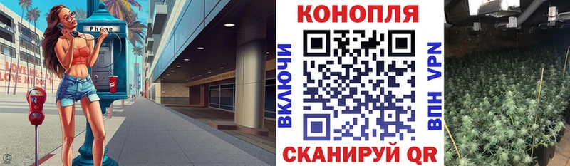 Конопля гибрид  закладки  даркнет состав  Тайга 